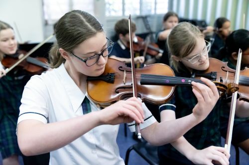 strings 1.jpg